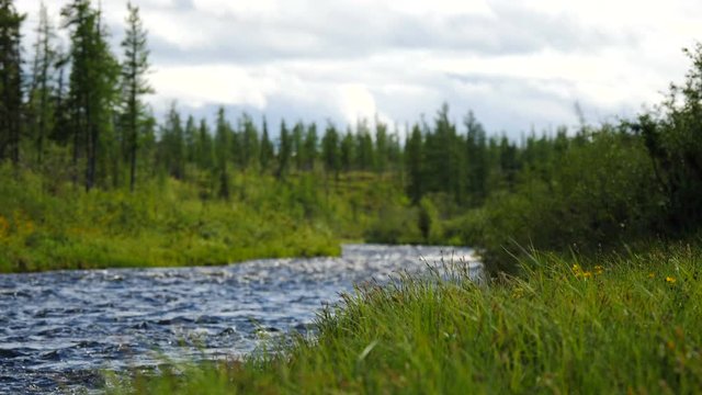 summer tundra plateau Putorana