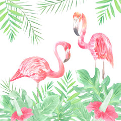 Watercolor illustration of picturesque pink flamingos in the tropics. Perfect for design in printing, textiles, souvenirs and other creative fields.
