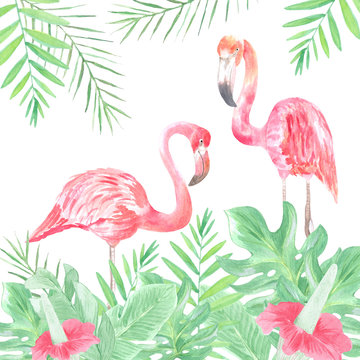 Watercolor illustration of picturesque pink flamingos in the tropics. Perfect for design in printing, textiles, souvenirs and other creative fields. © Irina