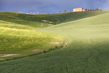 Naklejka premium Tuscany landscape near Pienza village.