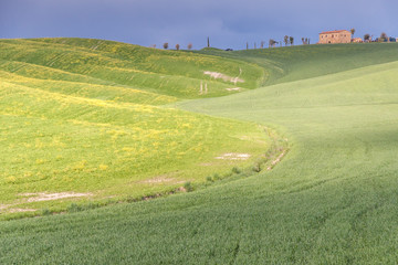 Naklejka premium Tuscany landscape near Pienza village.