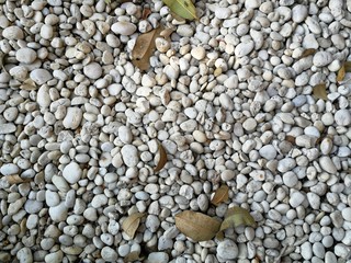 Dry leaf and white pebbles on the beach