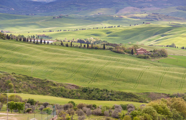 Fototapeta na wymiar Farm in Tuscany, Italy.