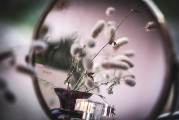 Trifolium arvense. Close up bouquet of wild fluffy flowers in vase, reflection mirror. Selective...