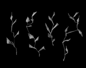 Sketch of branches painted by white chalks against blackboard. 