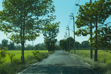 Country road in the suburbs