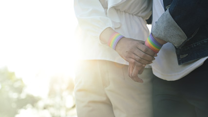 Obraz premium Cropped image of young LGBT lesbian couple holding hands while walking together in beautiful grass field sunset. LGBT happiness concept.