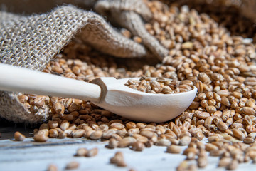 Wheat grain in bags, wooden spoon with wheat. A sign and symbol of abundance, prosperity, wealth and health in the hom