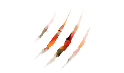 Fototapeta premium Wildlife abstract image. Empty background