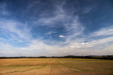 Obraz premium cirrus clouds in the sky