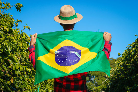 Farmer at coffee plantation holding Brazilian flag