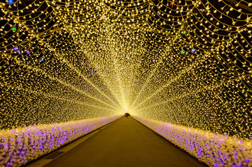 Winter Illumination in Nabananosato at Nagashima spaland, Mie, Japan