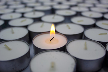 Tealights