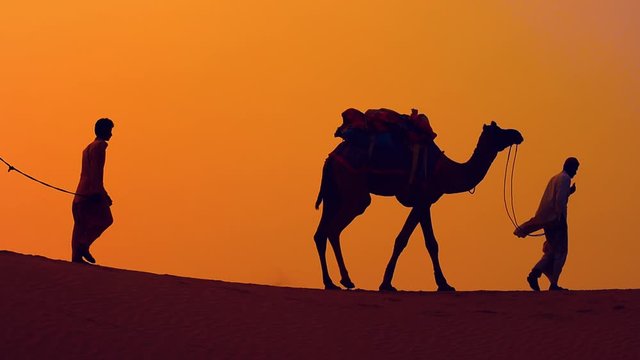 Cameleers, camel Drivers at sunset. Thar desert on sunset Jaisalmer, Rajasthan, India.