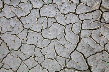 Dry cracked land