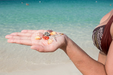 Colorful seashells in a woman's hand on the background of the sea.