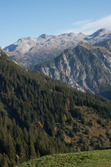 Berglandschaft mit Tannen
