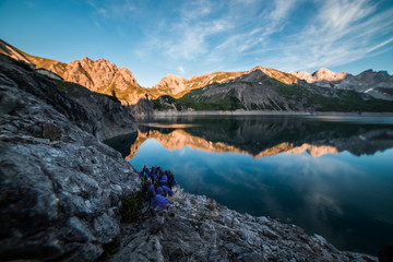 Sonnenuntergang am Bergsee mit Blume im Vordergrund