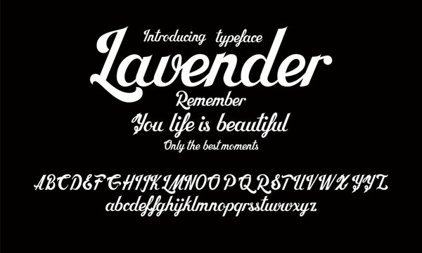 Hand drawn alphabet vector font. Brush script lettering for labels, headlines, posters etc.
