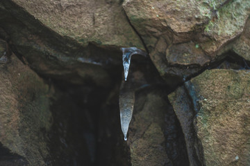 melting water on a stone. icicles on a rock