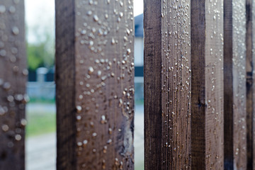 wooden fence with waterdrops after rain