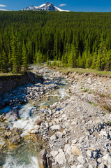 Mountain river in Canada.