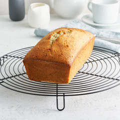 Lemon bread. Cake with citrus on metallic grid, traditional american cuisine. Whole loaf.