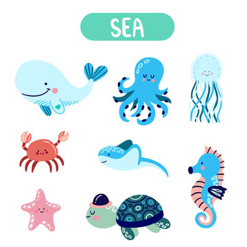 Set of cute vector sea animals for isolated elements for kids book decoration, postcard, educational game, sticker.. Collection of marine animals, creatures.