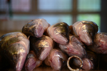 Fresh fish at market, close up