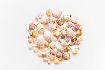 Plenty amazing seashells shape round, top view isolated on white