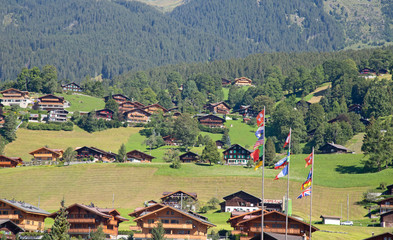 Hiking in swiss alps