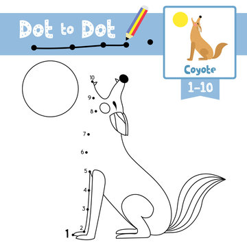 Dot to dot educational game and Coloring book Howling Coyote animal cartoon character vector illustration