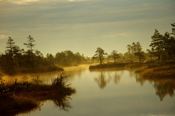 Fototapeta na wymiar Mire with fog, small lake with reflection