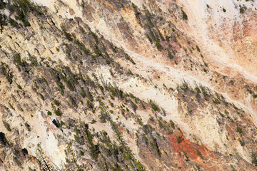 Yellowstone canyon