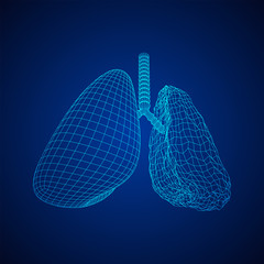 Healthy and sick lung with trachea bronchi internal organ human. Pulmonology medicine science technology concept. Wireframe low poly mesh vector illustration