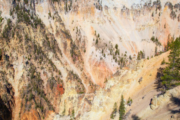 Yellowstone canyon