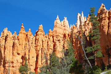 Naklejka premium Bryce canyon