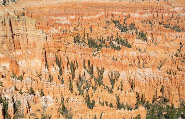 Bryce canyon