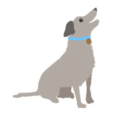 Eager Happy Dog, Mutt, Greeting, sitting, isolated on white background. 