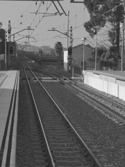 Valencia train gray