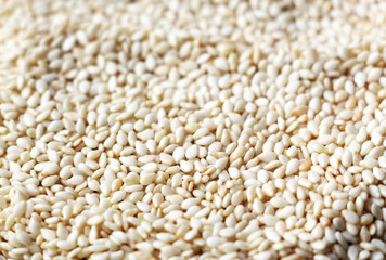 Light beige sesame seeds close-up