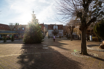 Weihnachtsbaum auf dem Marktplatz bei Ilsenburg