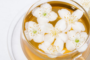 glass cup of fresh fragrant green tea with jasmine on white background