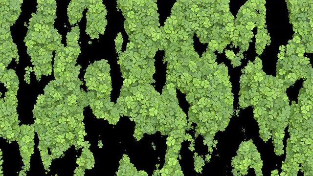 Growing clover transition. Green leaves covering the screen. Growing grass animation with alpha matte. Transition in a shape of random spots.
