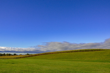 Fototapeta na wymiar Beautiful day with green field and blue skies