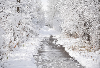 Path with trees covered with snow