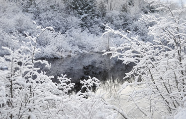 Winter landscape with trees, snow and water