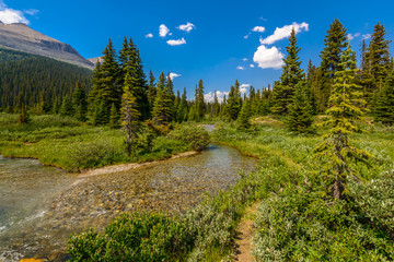 Obraz premium Majestic mountain river in Canada.