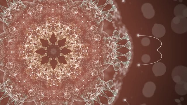 Human microbiome and bacteria inside a human body spinning and dividing.