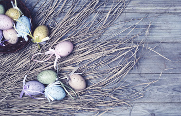 fishing nets and ropes on wooden background